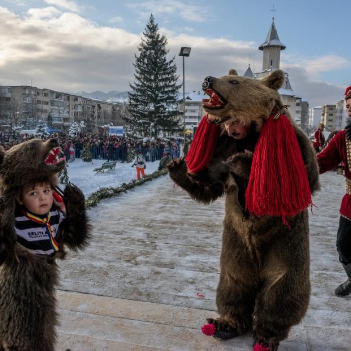 CNN maximă audiență cu "Ursul din Asău"