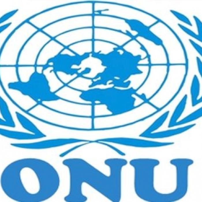 O mare româncă a RENUNȚAT la cariera de la ONU pentru a se întoarce în țară