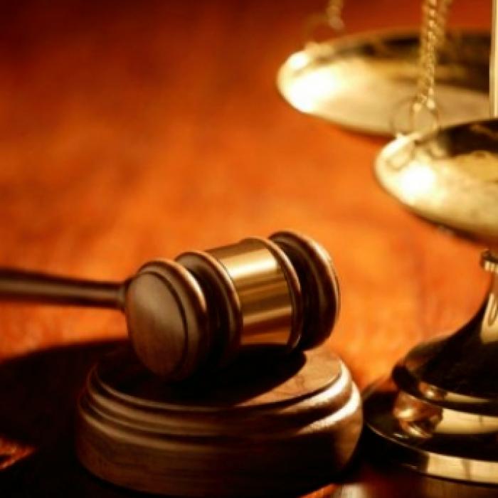 Români din Berlin, condamnați după ce au ucis o capră la ZOO. Motivul, incredibil