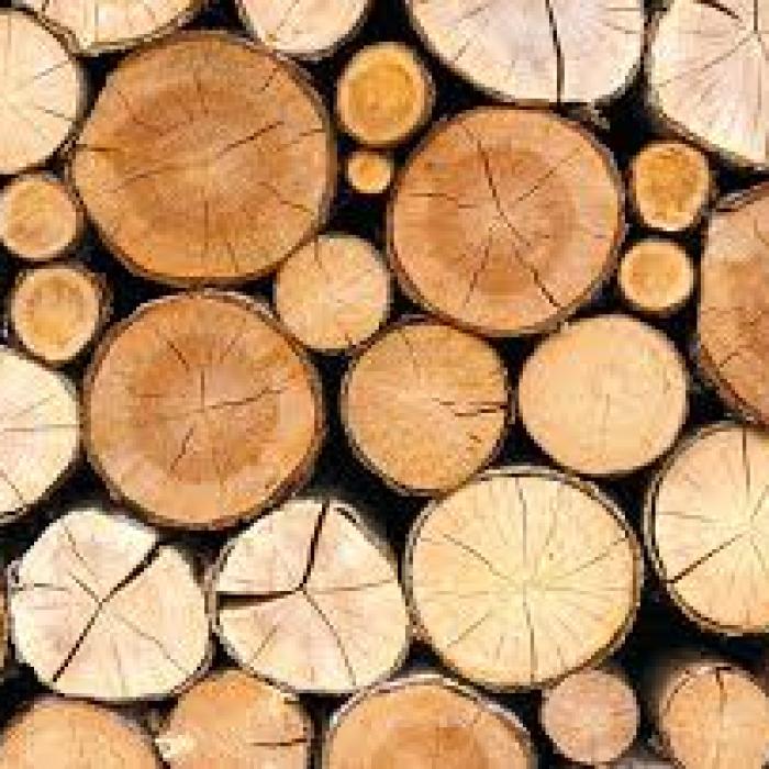 Export lemn România. Creștere a volumului în 2018