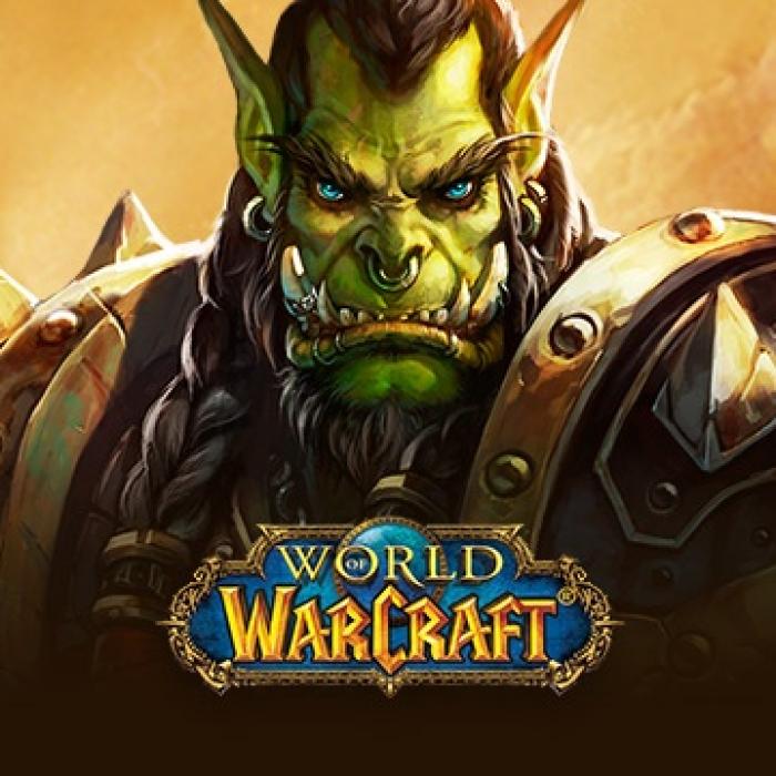 World of Warcraft. Jucător român, CONDAMNAT în SUA 
