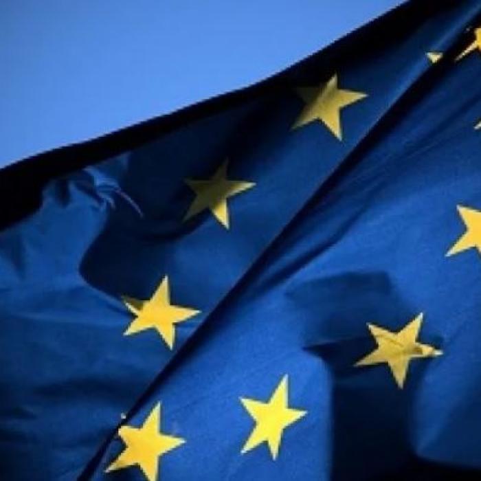 Austria taie alocațiile pentru copiii români. Diaspora a sesizat Comisia Europeană. DOCUMENT 
