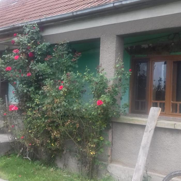 Casă gratis în Satu Mare. Se caută o familie nevoiașă