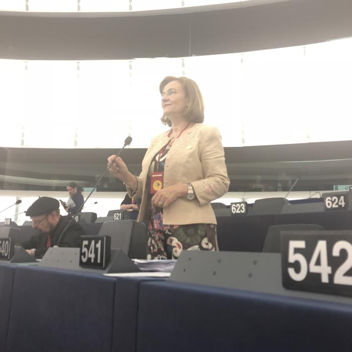 Protest 10 august. Maria Grapini, mesaj revoltător: Fără certificat de prost nu poți participa la miting