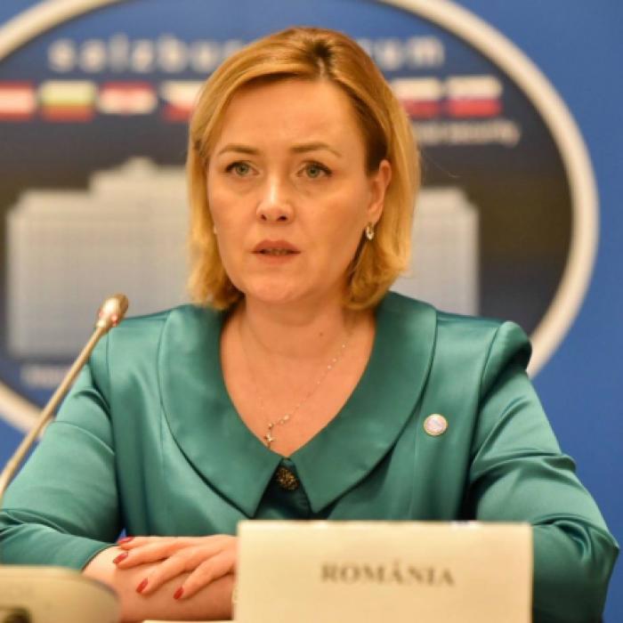 Plângere penală pentru Carmen Dan: "Clasificarea raportului, ilegală" 