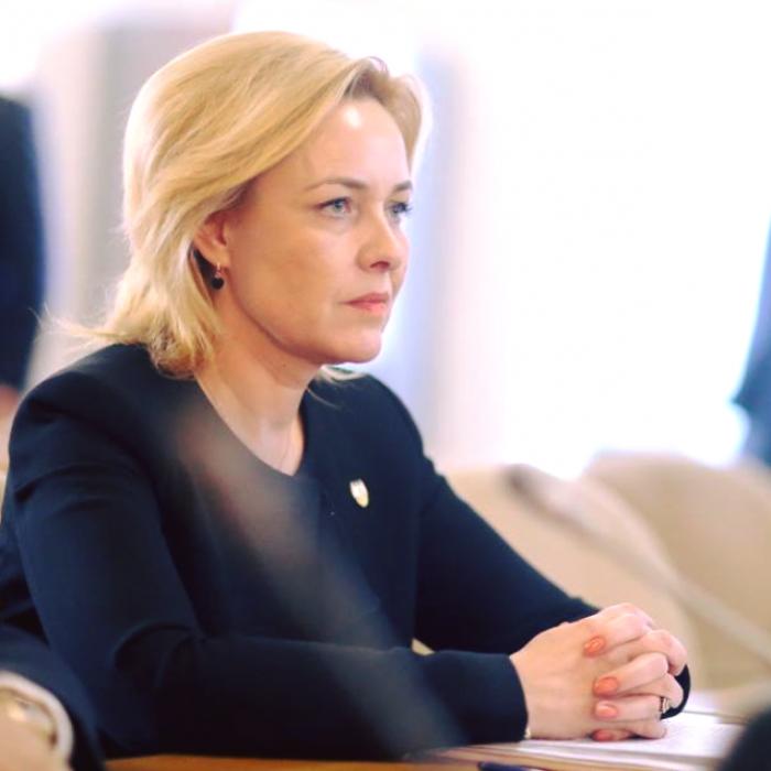 PSD a evacuat presa de la audierea lui Carmen Dan 