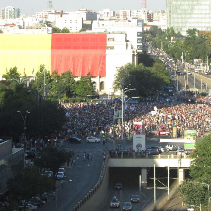 Protest diaspora. Oana Dobre, către Dragnea: TU ești DIRECT responsabil