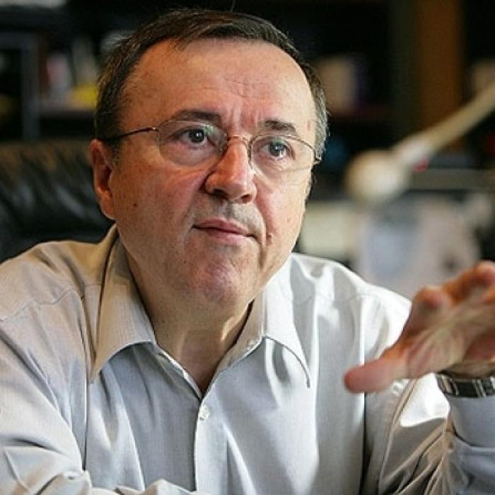 Ion Cristoiu: DEZVĂLUIRI despre Liviu Dragnea – Carmen Dan în Tulburările din 10 august 2018 