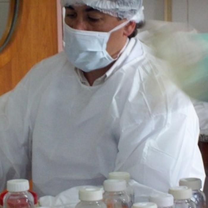Un nou virus ar putea ucide animalele din România. SRI, notă de informare 
