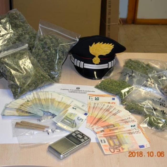 Italia: Plantație de marijuana descoperită la un român acasă