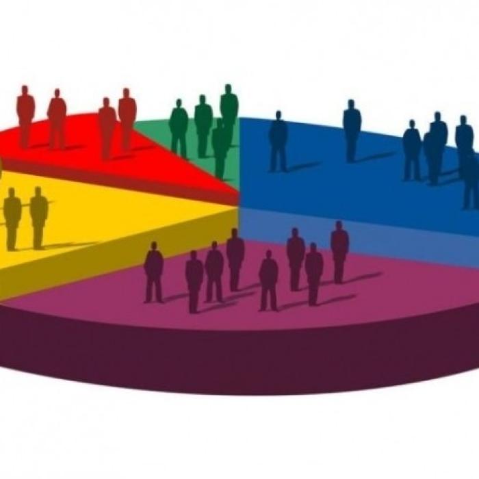 Sondaj. Partidul în care românii își pun speranțele. Luptă mare la vârf