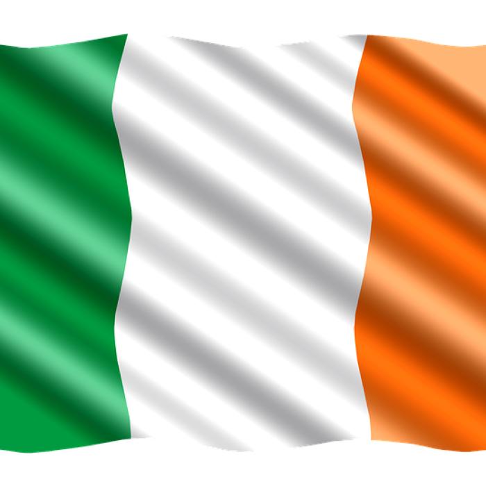 Alegeri în Irlanda: cine sunt cei șase candidați