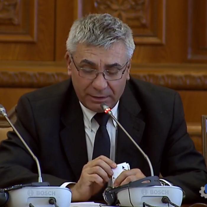 Problemele Diasporei, dezbătute vineri la Parlament. Știridiaspora transmite LIVE