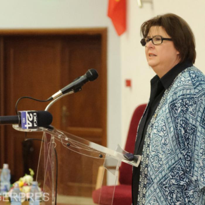 Pippidi: vedeți să nu dați jos guvernul de Crăciun, din greșeală