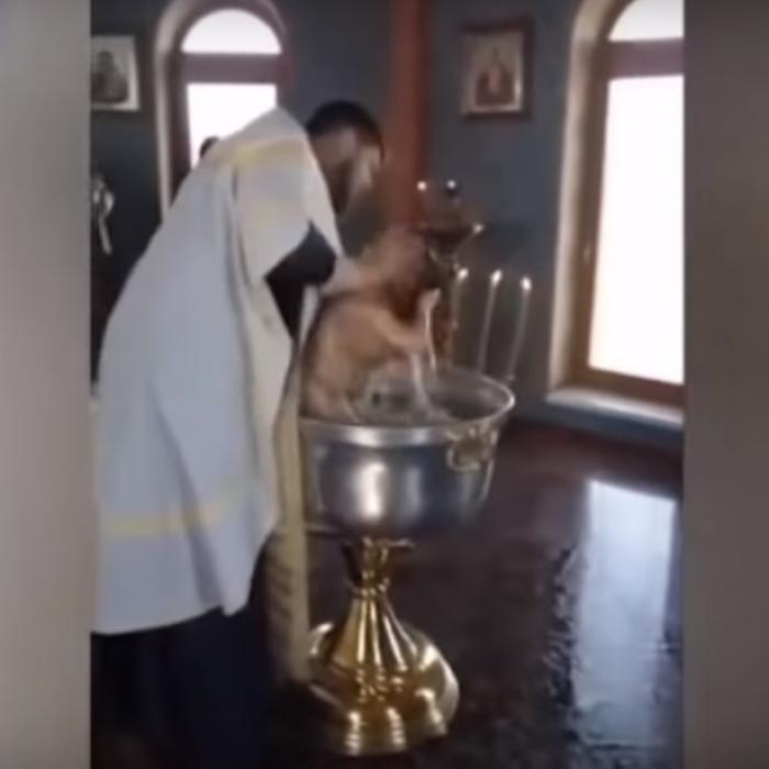 SCENE ȘOCANTE. Botez de COȘMAR pentru o fetiță de doi ani. „Satana este în ea” (VIDEO)