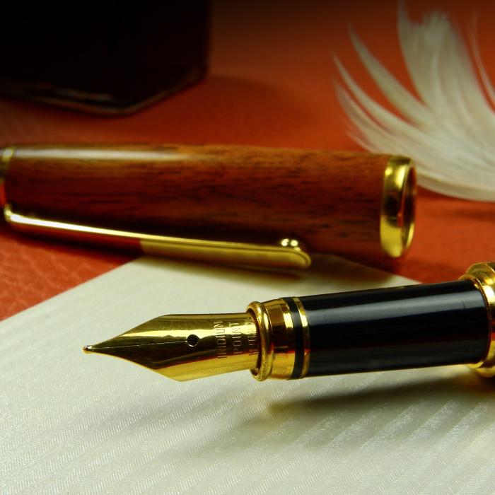 RISIPĂ din bani publici. O primărie din România CHELTUIE 70.000 de lei pe stilouri