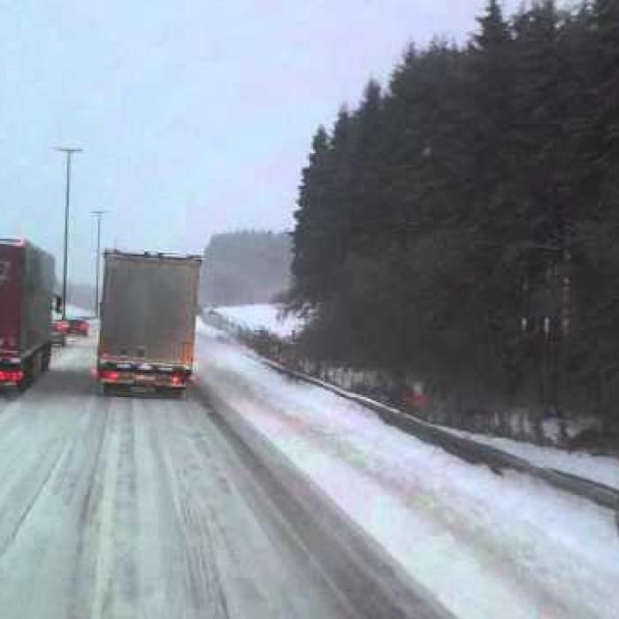 Un șofer român a CHINUIT 33 de oameni și 10 copii. I-a ținut ÎNCHIȘI, iar apoi i-a dat jos RĂNIȚI într-o pădure, în ger