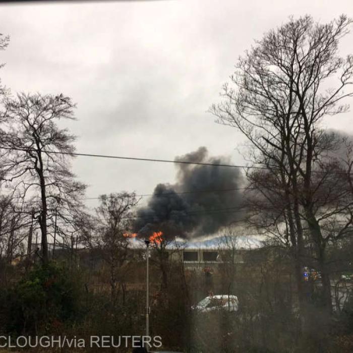 Anglia. Val de donații, după DEZASTRUL de la Grădina Zoologică Zoo Chester