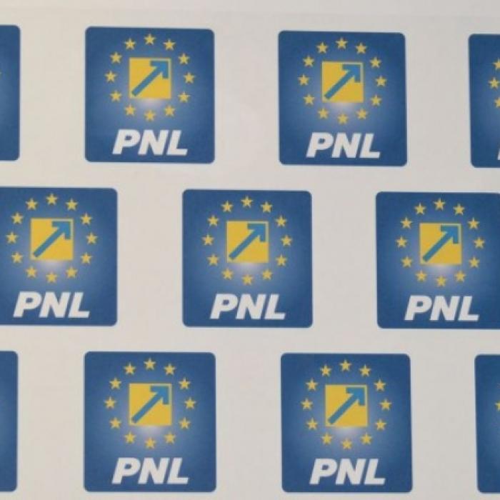 Deputat PNL: „Dragnea a LANSAT noua ideologie PSD: neo-ceaușismul”