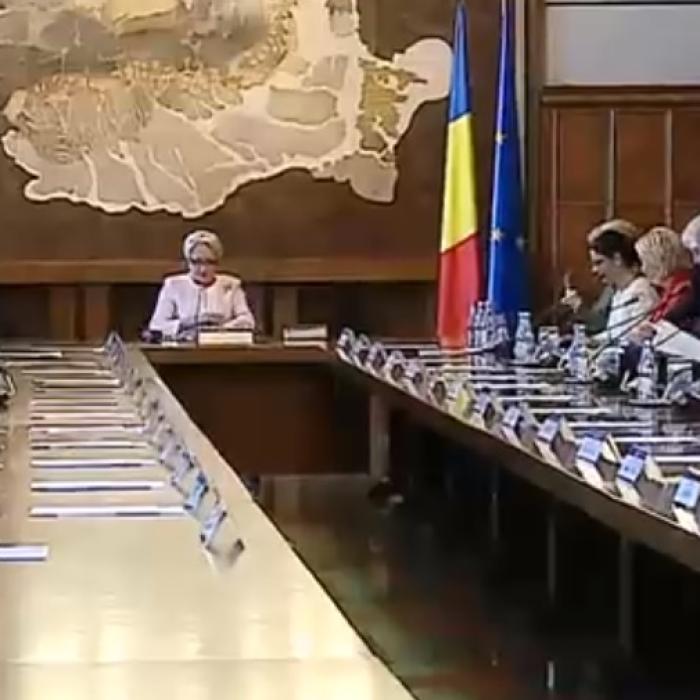 TENSIUNI în Guvern. Viorica Dăncilă, CONTRAZISĂ de ministrul Energiei