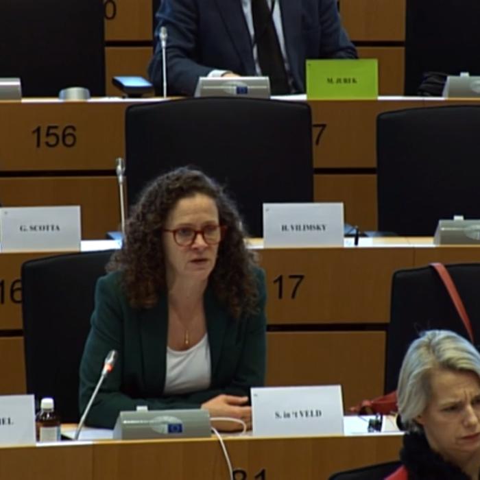 Toader, ÎN CORZI în Parlamentul European: Am aflat că anulați 100 de condamnări