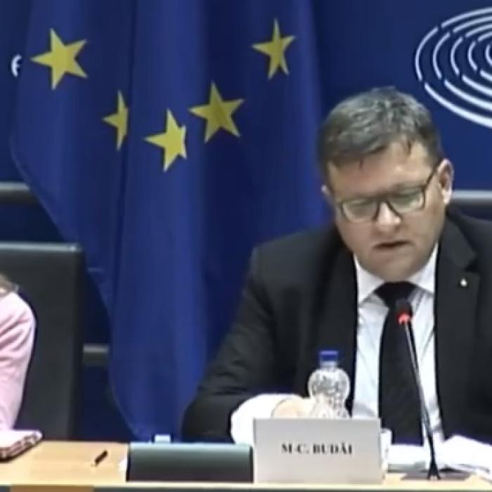 Dan Vîlceanu: „Dăncilul de la Ministerul Muncii a încurcat foile la Bruxelles” (VIDEO)