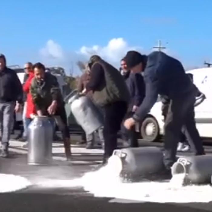 Italia. Scandalul LAPTELUI românesc ia amploare. Fermierii amenință cu BLOCAJ total