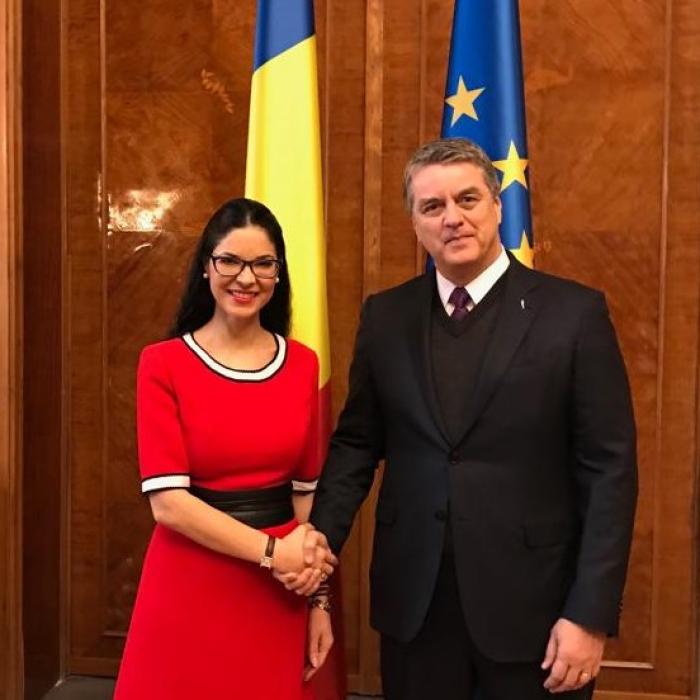 Ana Birchall, ÎNTREVEDERE cu directorul Organizației Mondiale a Comerțului