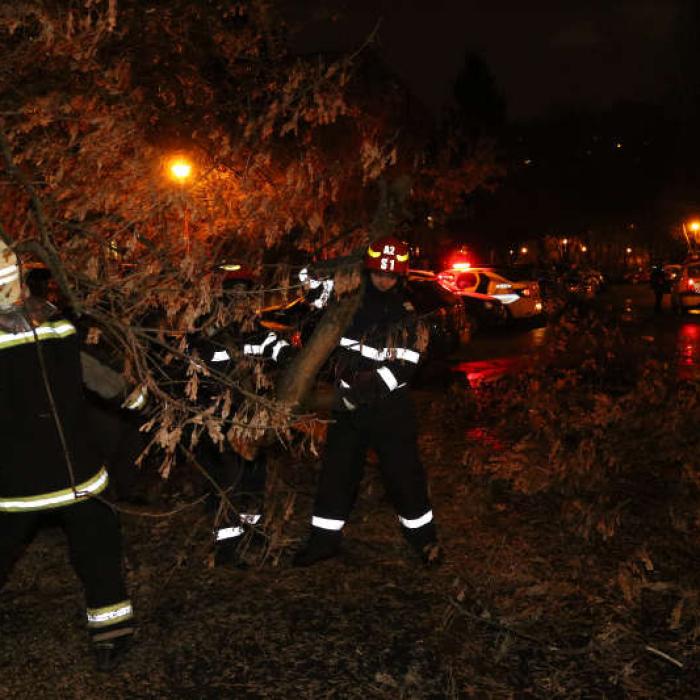 RAVAGII în București în urma unei furtuni: copaci căzuți, mașini avariate, stâlpi prăbușiți