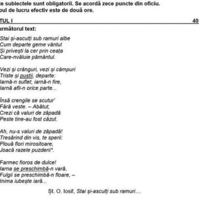 Simulare Evaluare Națională. EROARE în subiectele la română: „Regret că ne întâlnim cu un malpraxis pedagogic”