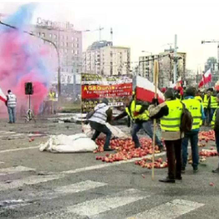 PROTEST MASIV. Porci MORȚI și TONE de MERE, aruncate într-una din cele mai importante piețe 