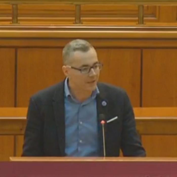 Stelian Ion, SHOW în Parlament: "Românii nu v-au votat să distrugeți justiția și să vă apărați infractorii"