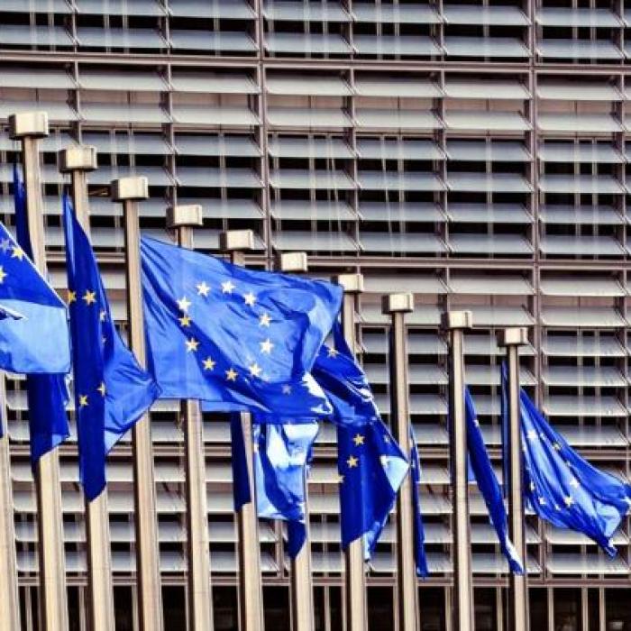 PROTEST al transportatorilor ROMÂNI în fața Parlamentului European