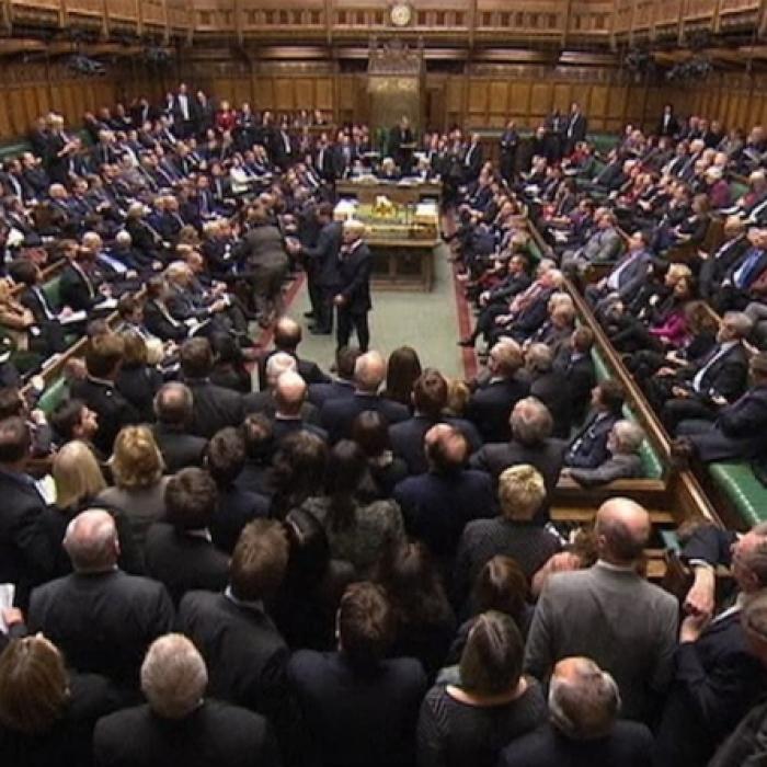 BREXIT. MANIFEST INEDIT. Protestatari DEZBRĂCAȚI au intrat în Parlamentul Marii Britanii (FOTO +VIDEO)