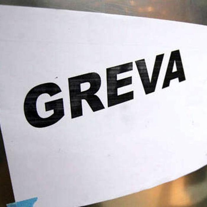 Salariații unei companii din Satu Mare, a cincea săptămână de grevă generală