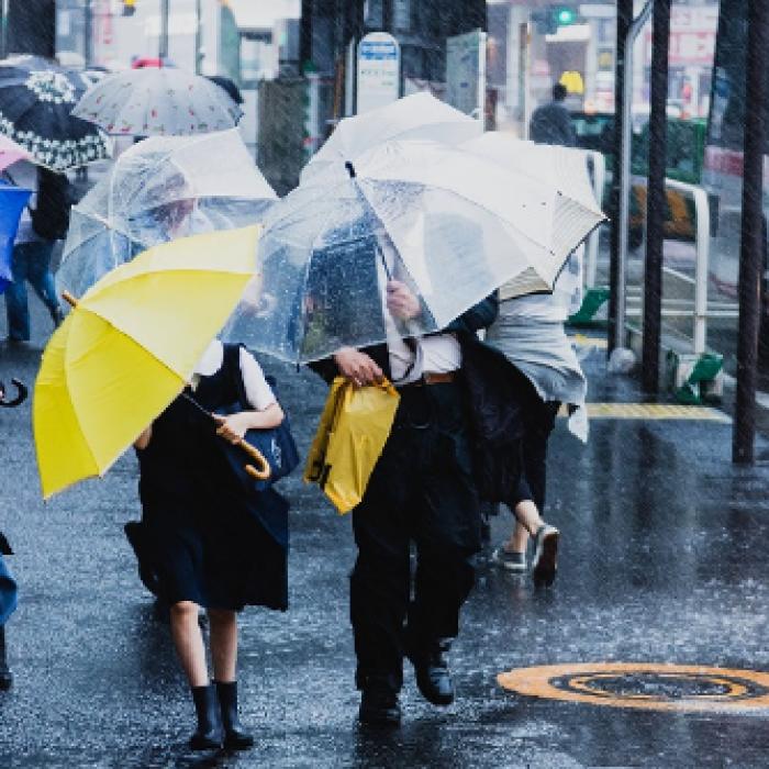 Prognoza meteo pentru 8 - 21 aprilie. Cum va fi vremea de Florii