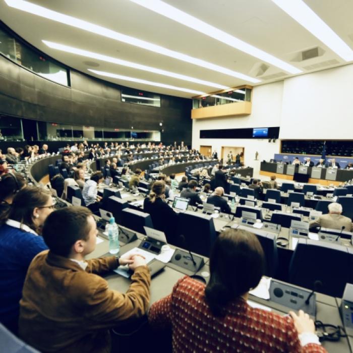 Oficial Bruxelles: România, capturată de Liviu Dragnea, care a creat o organizaţie infracţională 