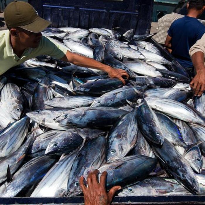 Irlanda. Protecţie împotriva sclaviei pentru muncitorii migranţi