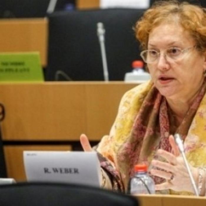 Renate Weber: „După Brexit se vor intensifica DISCRIMINĂRILE în ceea ce-i privește pe ROMÂNII din UK”