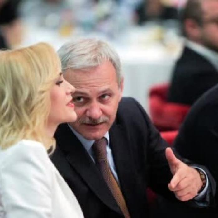 Firea, despre conflictul cu Dragnea: „M-am simțit abandonată”