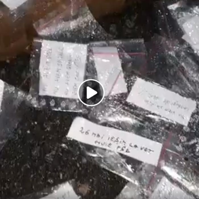 Replica zilei. Iordache s-a trezit cu pliculețe la ușă, după ce i-a făcut drogați pe manifestanții anti-PSD | VIDEO