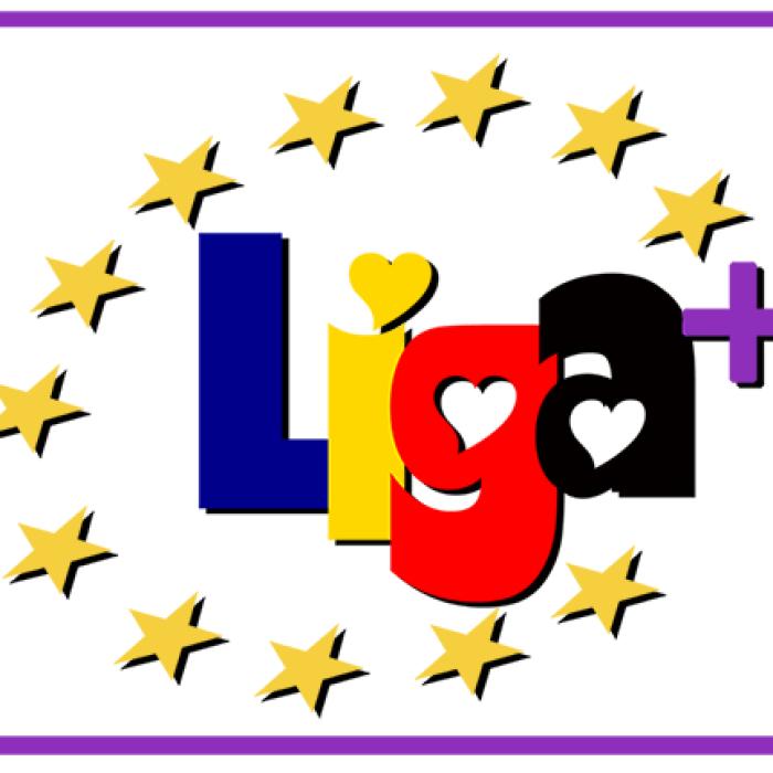 Liga + "Partidul Românilor din Germania", sondaj pentru rezolvarea problemei votului în Diaspora