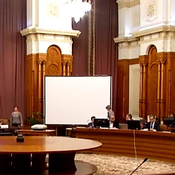 CCR RESPINGE contestația USR: Stan și Deliorga, judecători constituționali, așa cum a vrut PSD