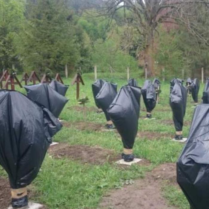 Guvernul preia cimitirul din Valea Uzului. Intervenție de ULTIMĂ ORĂ a ministrului Apărării