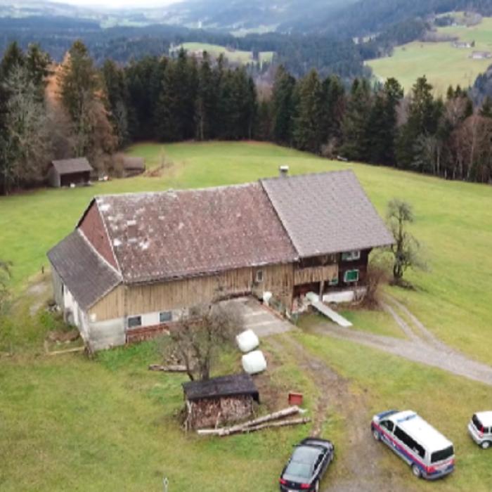 Austria. Trei ROMÂNI au ABUZAT un fermier până a rămas INCONȘTIENT