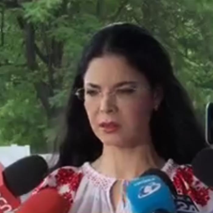 Ana Birchall, prima REACȚIE după întâlnirea cu reprezentanții MCV