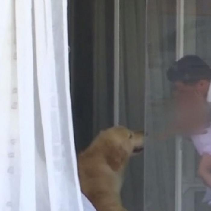 Logodnicul Elenei Udrea, PRIMELE declaraţii: "Nu voia să dea ochii cu presa"