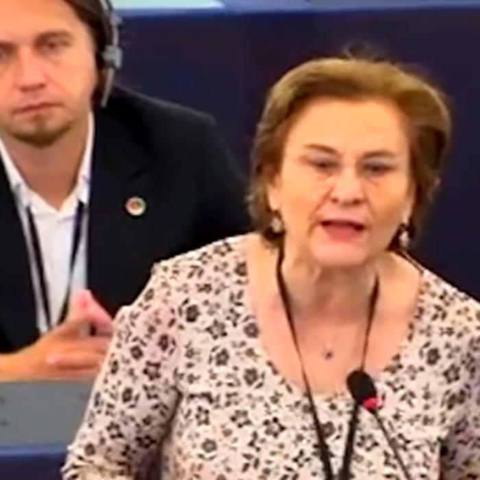 Funcția ocupată de parlamentarul Maria Grapini