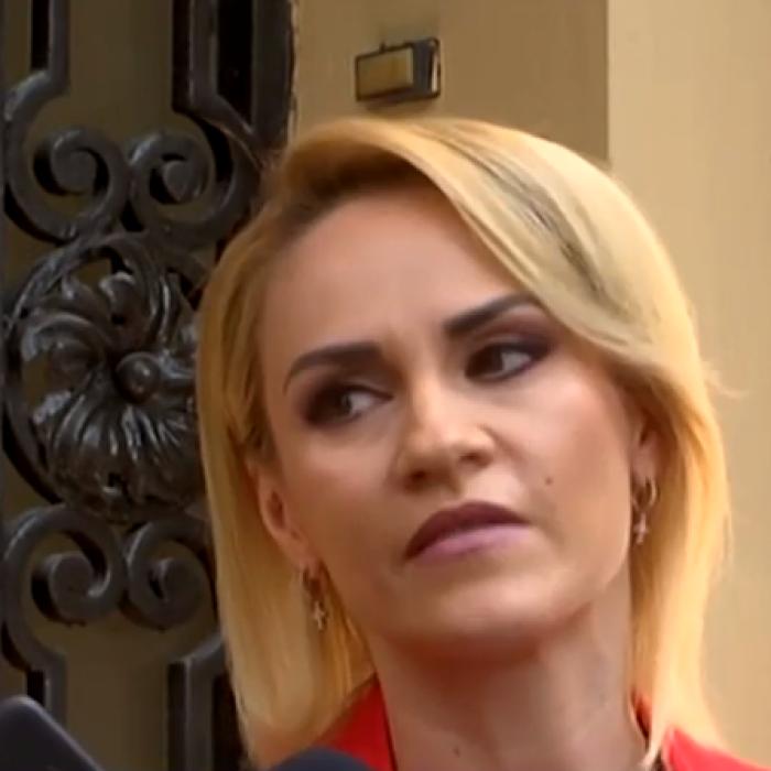 PNL a sesizat CCR. Firea: "Companiile municipale şi-au demonstrat corectitudinea"