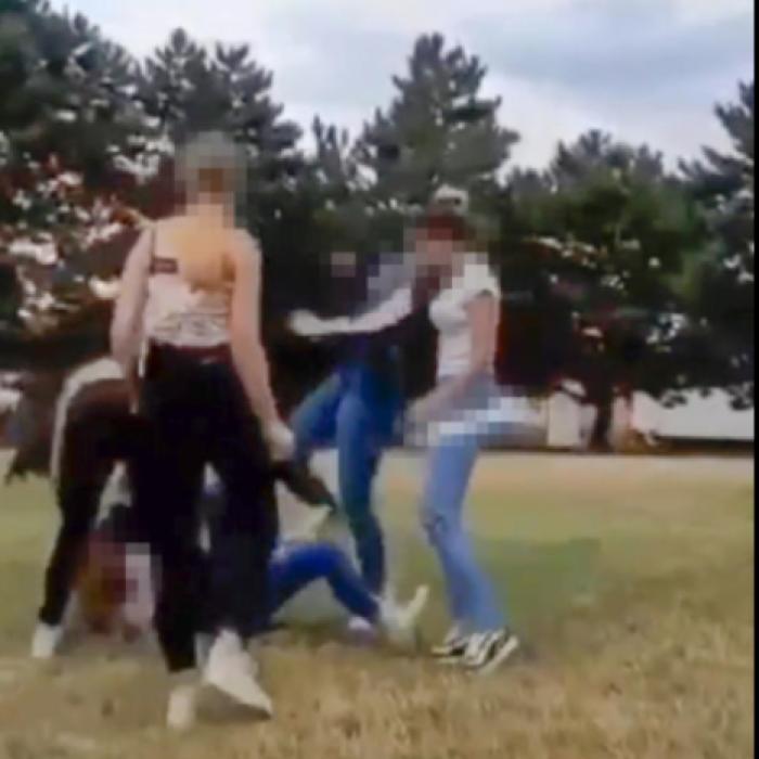 Austria. O româncă de 14 ani, LIDERUL unui grup care a BĂTUT cu bestialitate o colegă 